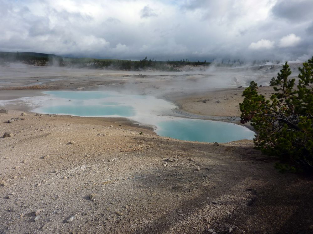 Yellowstone Norris Geyser Colloidal Pool (5).JPG